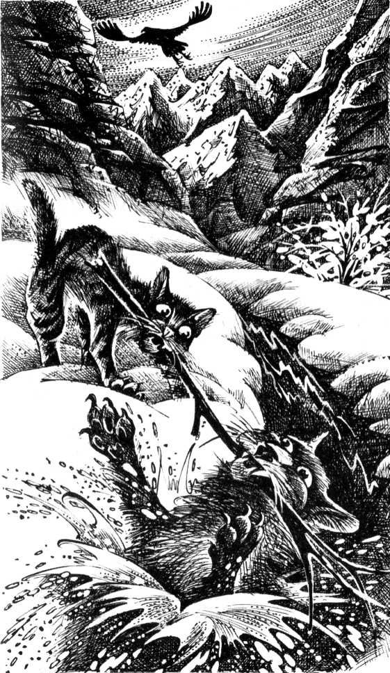 Солнечный путь Солнечный путь