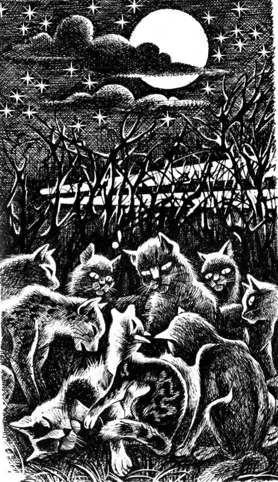 Солнечный путь Солнечный путь