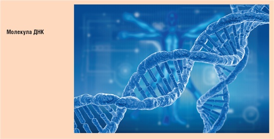 Счастливый клевер человечества. Всеобщая история открытий, технологий, конкуренции и богатства Счастливый клевер человечества. Всеобщая история открытий, технологий, конкуренции и богатства