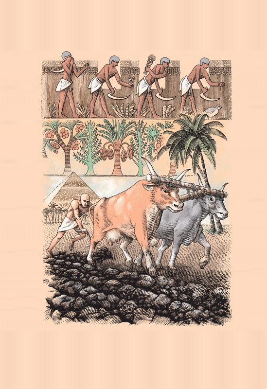 Счастливый клевер человечества. Всеобщая история открытий, технологий, конкуренции и богатства Счастливый клевер человечества. Всеобщая история открытий, технологий, конкуренции и богатства