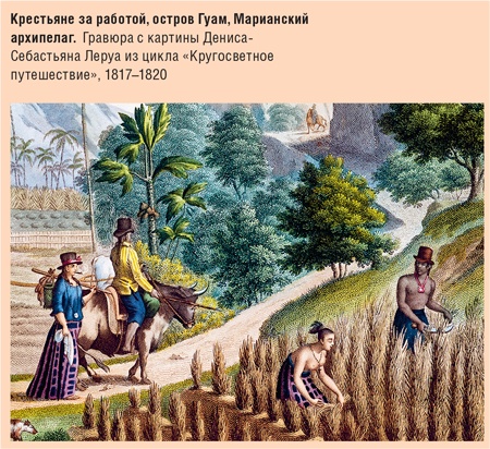 Счастливый клевер человечества. Всеобщая история открытий, технологий, конкуренции и богатства Счастливый клевер человечества. Всеобщая история открытий, технологий, конкуренции и богатства