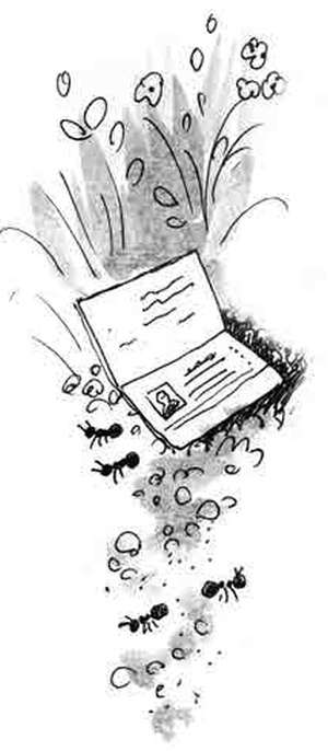 Армас. Зона надежды Армас. Зона надежды