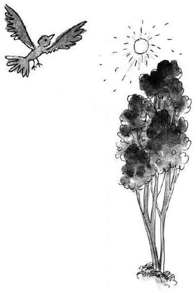 Армас. Зона надежды Армас. Зона надежды