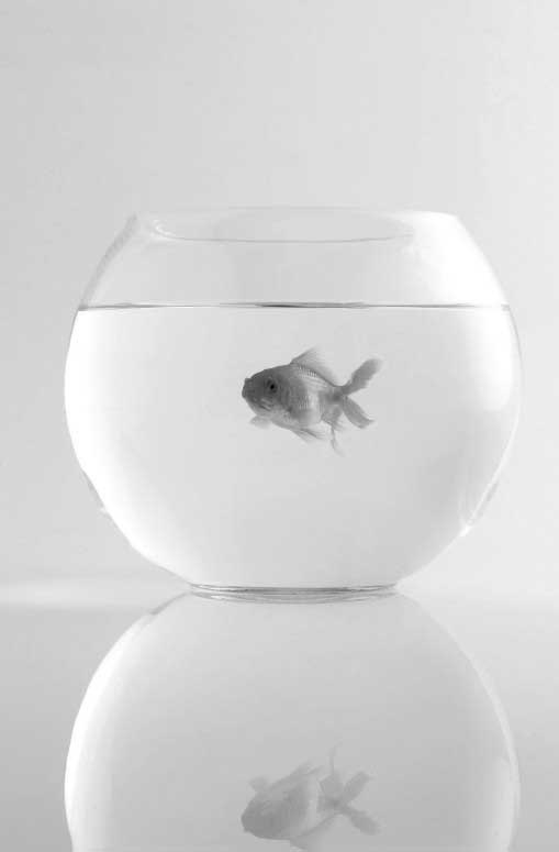 Фанки-идеи. Создание инноваций вне зоны комфорта Фанки-идеи. Создание инноваций вне зоны комфорта