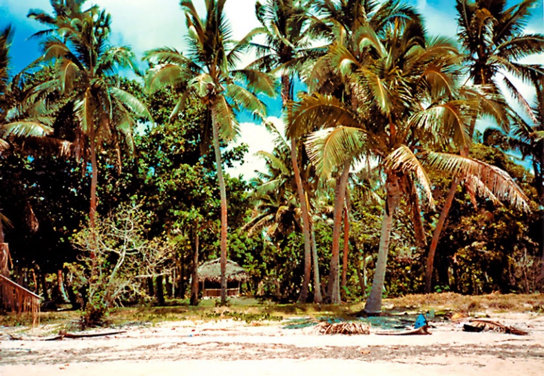 Работа в процессе