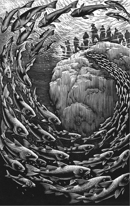 Сказки о странных Сказки о странных