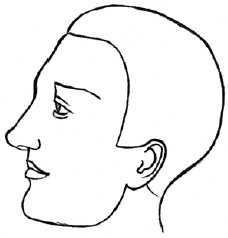 Читаем лица. Физиогномика Читаем лица. Физиогномика