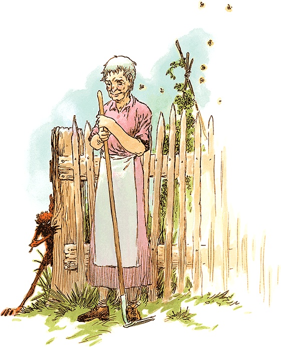 Семь диких сестер Семь диких сестер