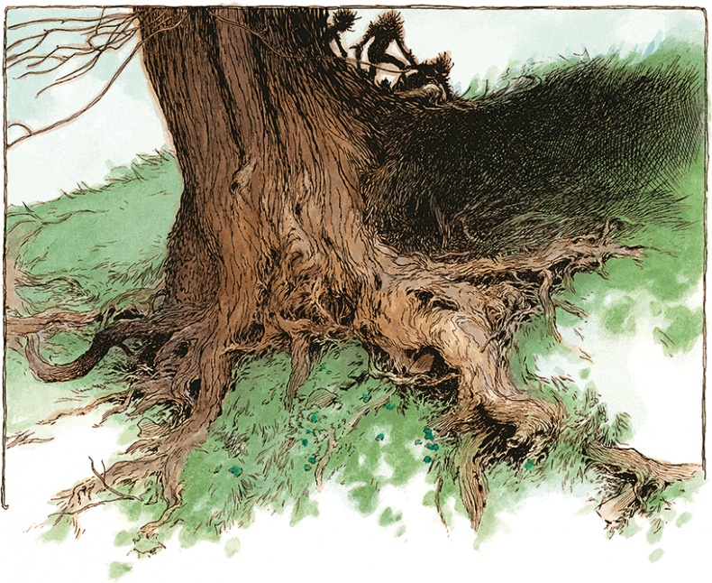 Семь диких сестер Семь диких сестер