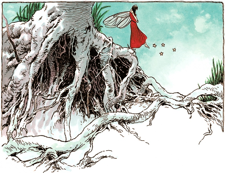 Семь диких сестер Семь диких сестер