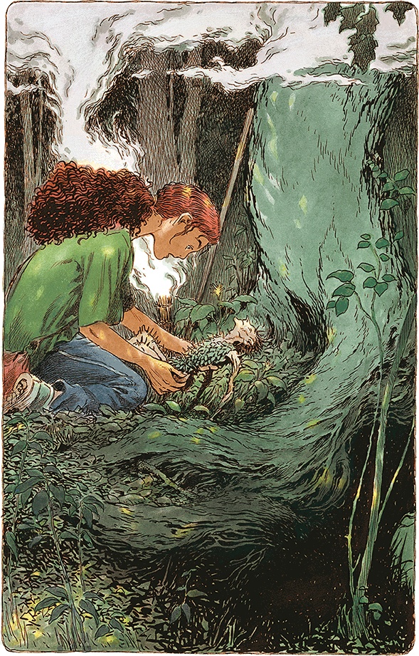 Семь диких сестер Семь диких сестер