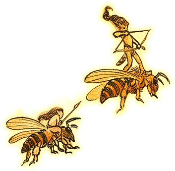 Семь диких сестер Семь диких сестер