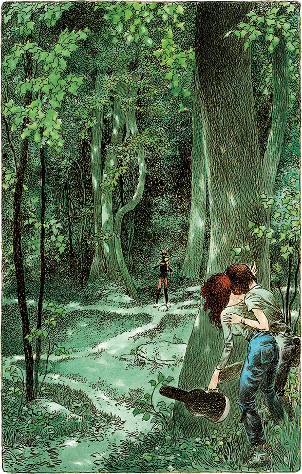 Семь диких сестер Семь диких сестер