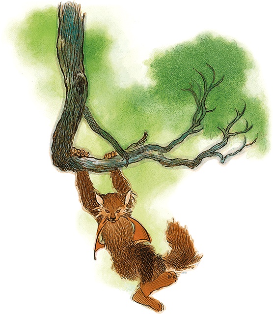 Семь диких сестер Семь диких сестер