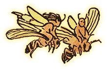 Семь диких сестер Семь диких сестер