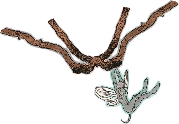 Семь диких сестер Семь диких сестер