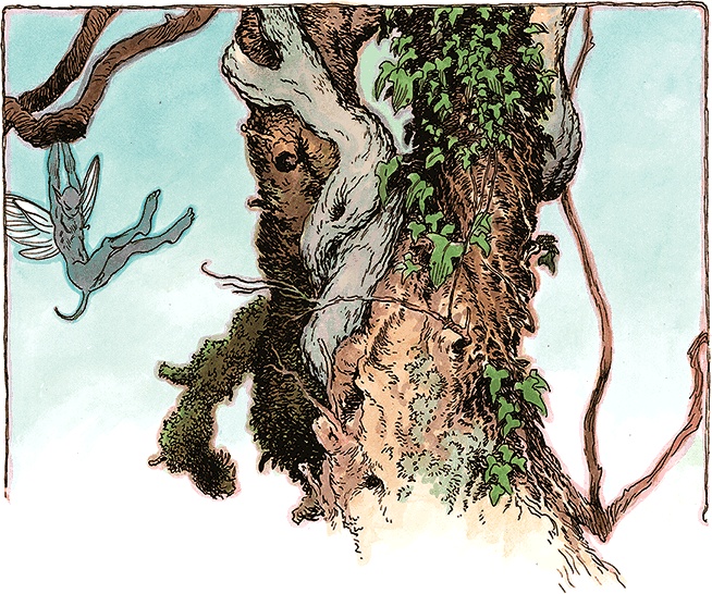 Семь диких сестер Семь диких сестер