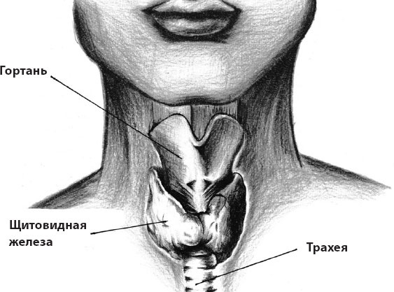 Что со мной, доктор? Вся правда о щитовидной железе Что со мной, доктор? Вся правда о щитовидной железе