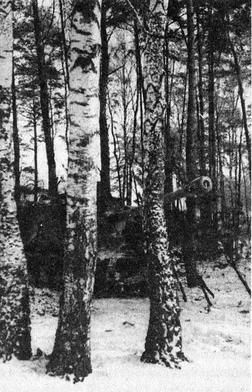 Танковые рейды 1941-1945