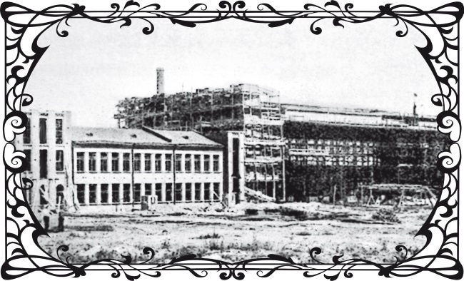 Букет из Оперного театра Букет из Оперного театра