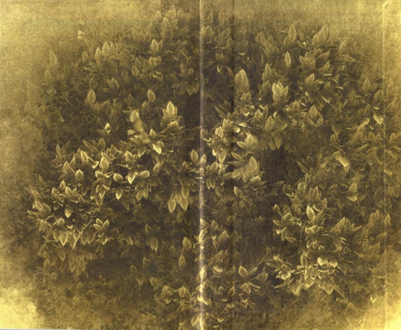 Сцены из провинциальной жизни Сцены из провинциальной жизни