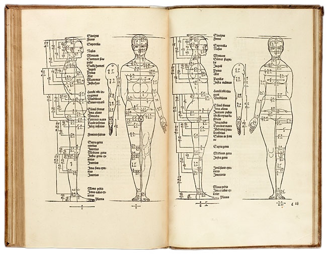 Дюрер Дюрер