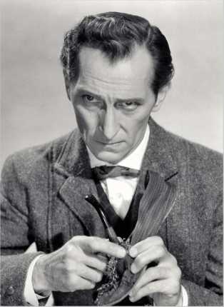 Шерлок Холмс. Человек, который никогда не жил и поэтому никогда не умрет