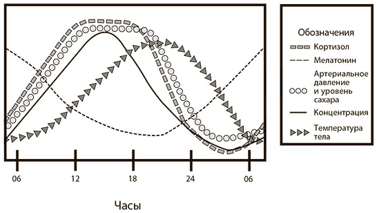 Всегда вовремя Всегда вовремя
