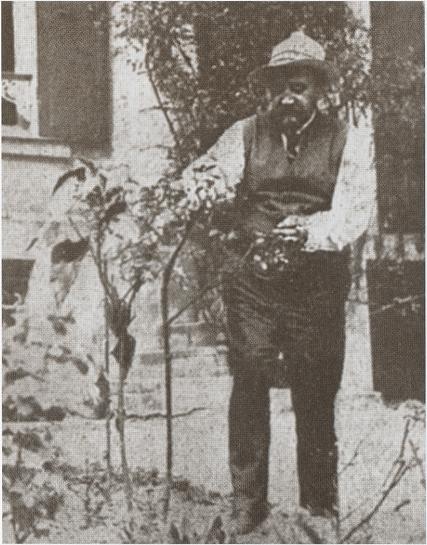 Куприн. Возмутитель спокойствия