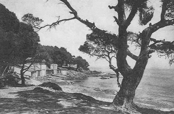 Саша Черный. Печальный рыцарь смеха