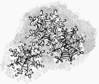 Юбилей Деда Мороза