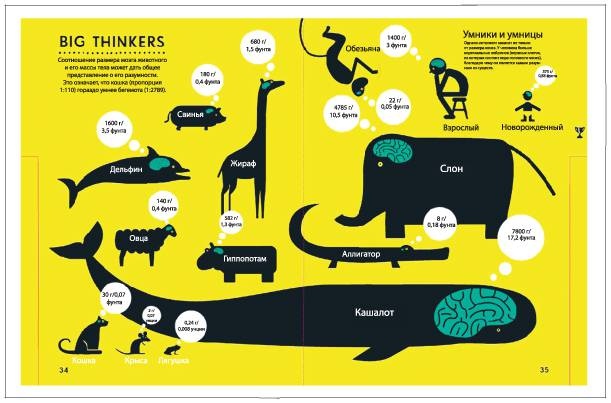Аналитическая культура. От сбора данных до бизнес-результатов