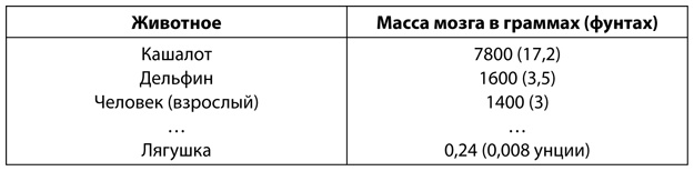 Аналитическая культура. От сбора данных до бизнес-результатов