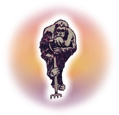 Дырка от бублика 2. Байки о вкусной и здоровой жизни Дырка от бублика 2. Байки о вкусной и здоровой жизни