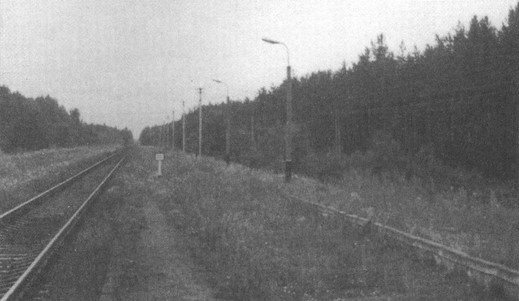 Братья Бельские Братья Бельские