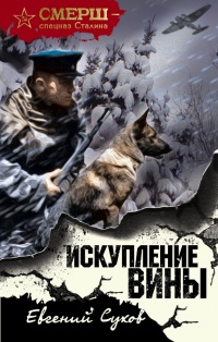Искупление вины - Евгений Сухов