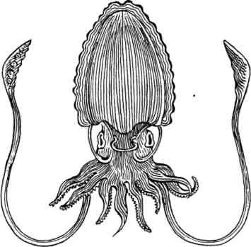 Произведение в алом