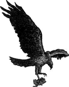 Произведение в алом