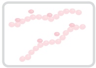 Корейская философия красоты. Smart-подход для идеальной кожи без дорогостоящих вложений Корейская философия красоты. Smart-подход для идеальной кожи без дорогостоящих вложений