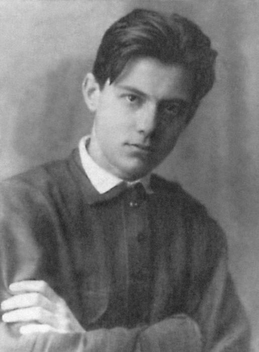 Волчий паспорт Волчий паспорт