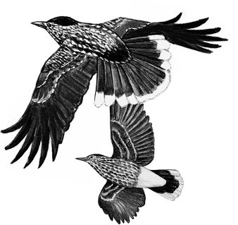 Васюткино озеро. С вопросами и ответами для почемучек Васюткино озеро. С вопросами и ответами для почемучек