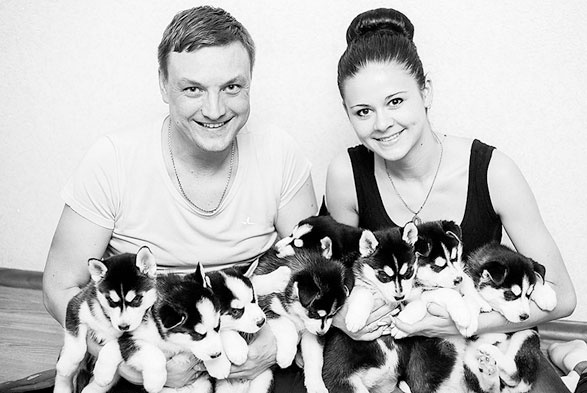 Диалог с собакой. Выбираем, воспитываем, дрессируем