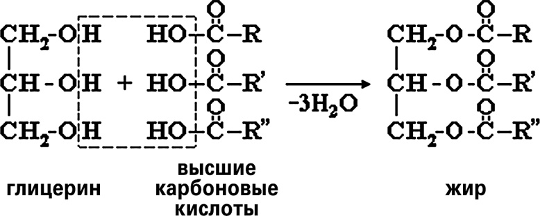 Мифы о нашем теле. Научный подход к примитивным вопросам Мифы о нашем теле. Научный подход к примитивным вопросам