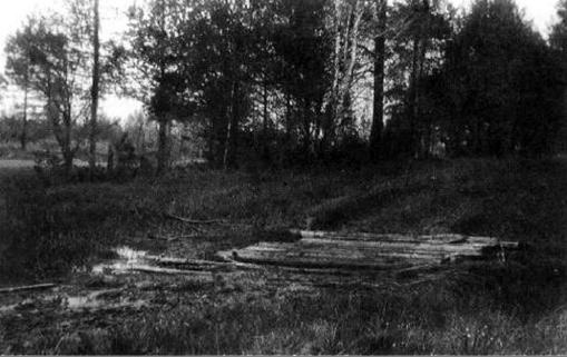 Вопросительные знаки в "Царском деле"