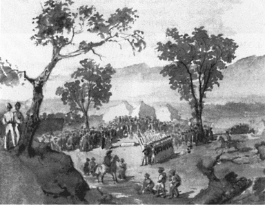 Имам Шамиль Имам Шамиль