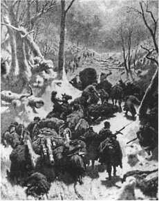 Имам Шамиль Имам Шамиль