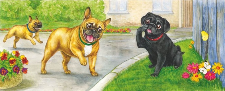 Волшебный эликсир Волшебный эликсир