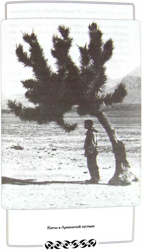 Мой удивительный мир фарса Мой удивительный мир фарса