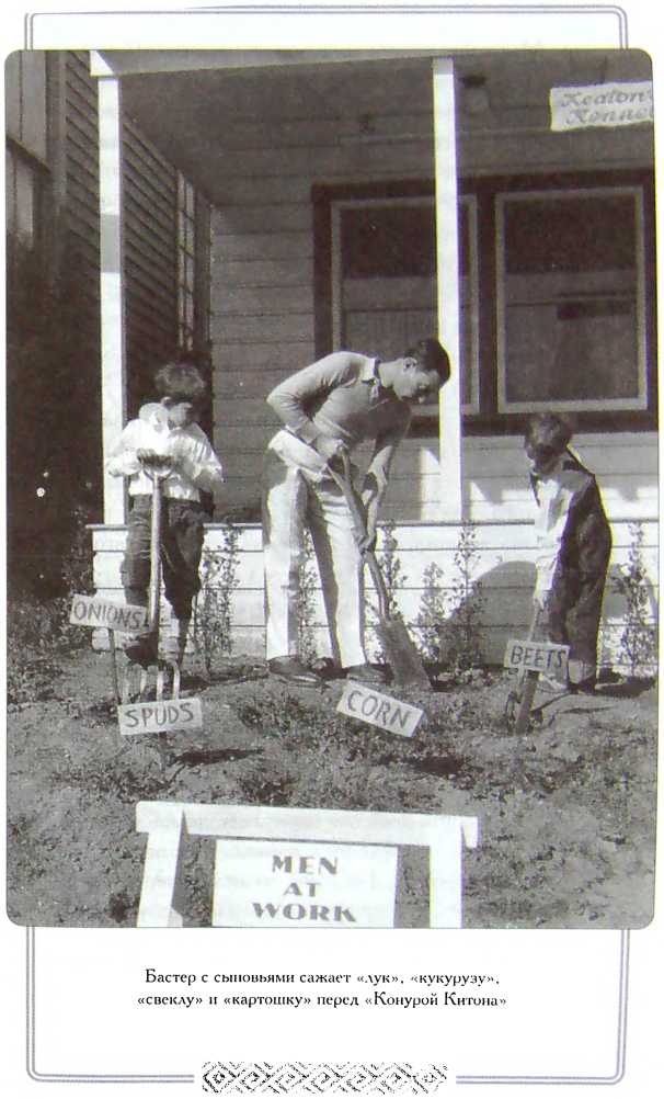 Мой удивительный мир фарса Мой удивительный мир фарса