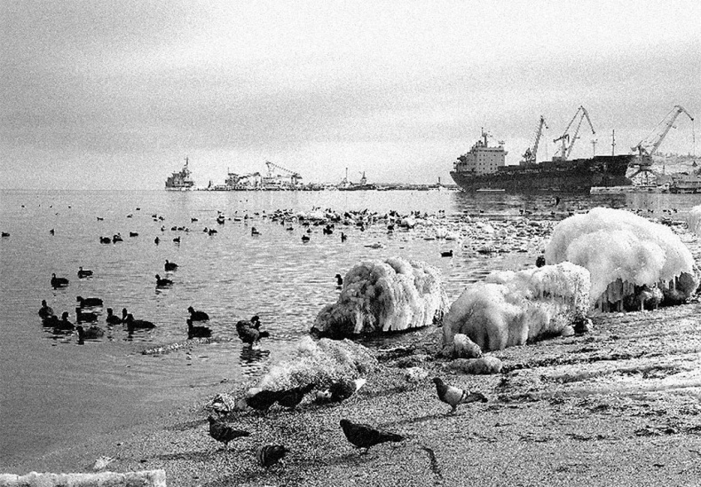 Наша счастливая треклятая жизнь Наша счастливая треклятая жизнь